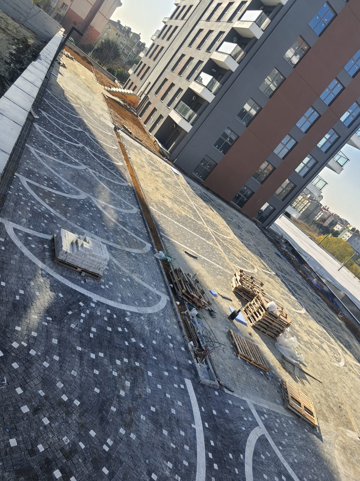 PHOTO-2025-01-11-18-03-34 (3)